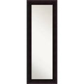 50.8 × 137.2 cm Non-Beveled Portico Espresso Wood on The Door Mirror -: Over Door, Full Body, Long Rectangle Mirror