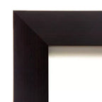 50.8 × 137.2 cm Non-Beveled Wood Over-the-Door Full-Length Mirror