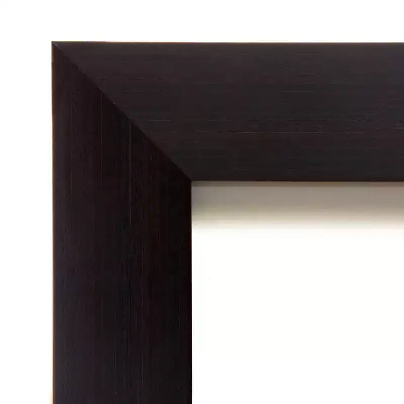 50.8 × 137.2 cm Non-Beveled Wood Over-the-Door Full-Length Mirror