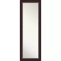 45.7 × 132.1 cm Non-Beveled Signore Bronze Wood on The Door Mirror -: Over-the-Door, Wall-Mounted
