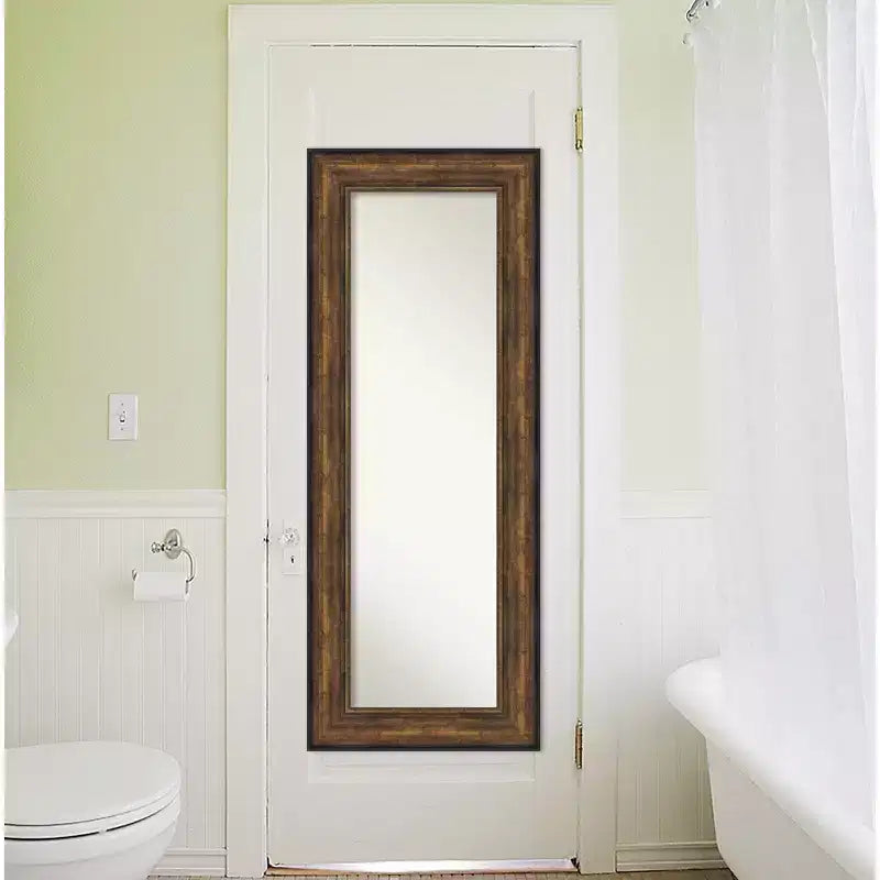 55.9 × 142.2 cm Non-Beveled Ballroom Bronze Full-Length Over-the-Door Mirror