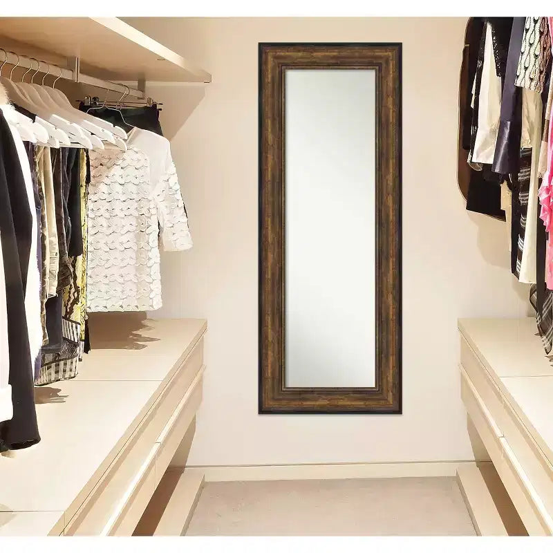 55.9 × 142.2 cm Non-Beveled Ballroom Bronze Full-Length Over-the-Door Mirror