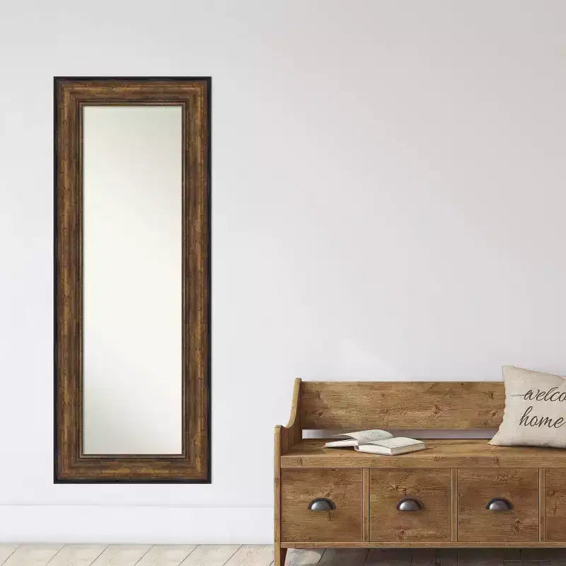 55.9 × 142.2 cm Non-Beveled Ballroom Bronze Full-Length Over-the-Door Mirror
