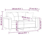 2-Seater Sofa with Pillows – Dark Gray Microfiber Fabric Couch