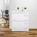 2 Drawer File Cabinet with Lock, Metal Vertical Filing Storage Cabinet, Under Desk Legal/ Letter Size Files Storage Cabinet For Office Home