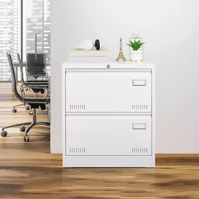 2 Drawer File Cabinet with Lock, Metal Vertical Filing Storage Cabinet, Under Desk Legal/ Letter Size Files Storage Cabinet For Office Home