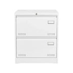 2 Drawer File Cabinet with Lock, Metal Vertical Filing Storage Cabinet, Under Desk Legal/ Letter Size Files Storage Cabinet For Office Home