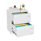 2 Drawer File Cabinet with Lock, Metal Vertical Filing Storage Cabinet, Under Desk Legal/ Letter Size Files Storage Cabinet For Office Home